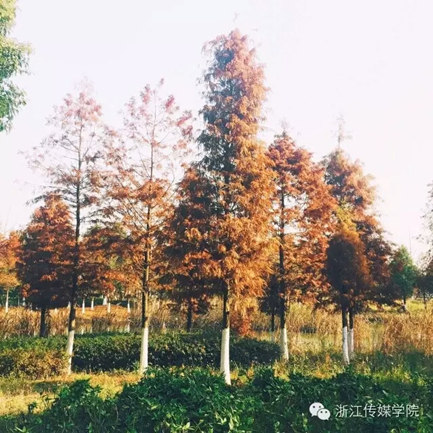 mmexport1452845115861_副本.jpg